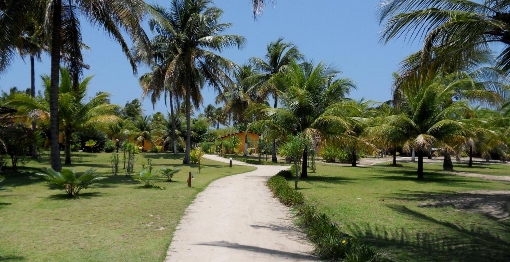 Pousada Cote Sud Hotel São Miguel dos Milagres Eksteriør billede